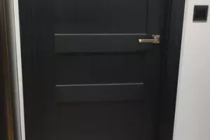 Drzwi 31